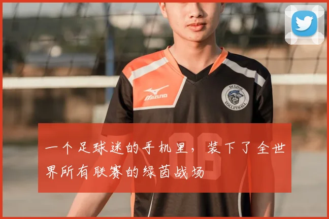 一个足球迷的手机里，装下了全世界所有联赛的绿茵战场
